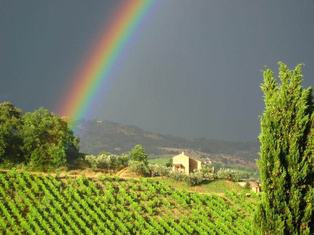 Agriturismo La Campana Villa Montefiore dellʼAso Eksteriør billede