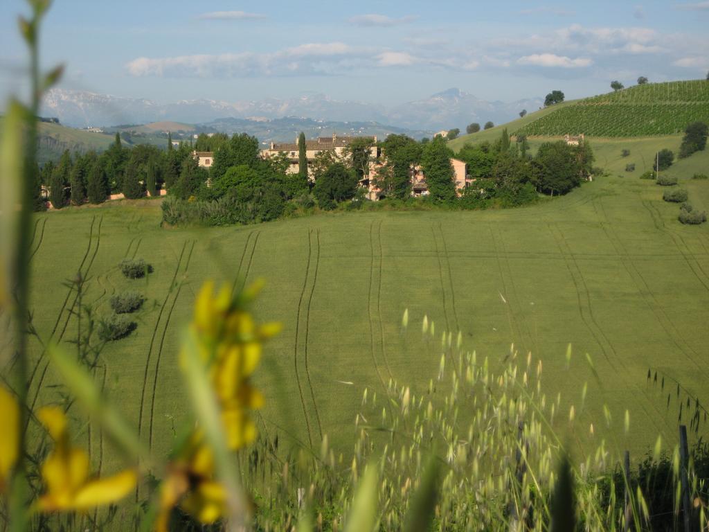 Agriturismo La Campana Villa Montefiore dellʼAso Eksteriør billede